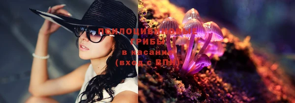 apvp Верхний Тагил