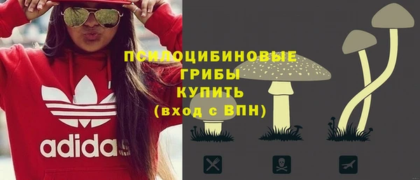 трава Верея