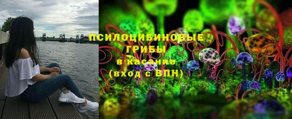 apvp Верхний Тагил
